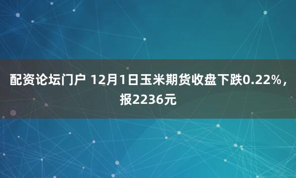 配资论坛门户 12月1日玉米期货收盘下跌0.22%，报2236元