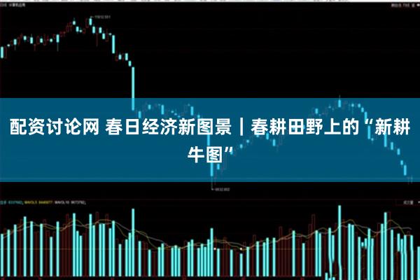 配资讨论网 春日经济新图景｜春耕田野上的“新耕牛图”